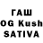 Галлюциногенные грибы Cubensis Pam Weese