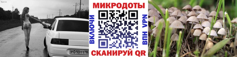 Псилоцибиновые грибы Psilocybine cubensis  Урень 